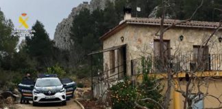 Mountainside marijuana hideaway brought down