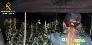 Villa marijuana farms busted
