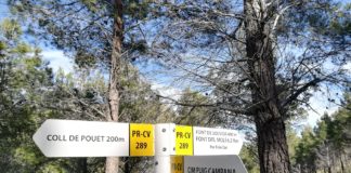 Plan to tackle forest fires