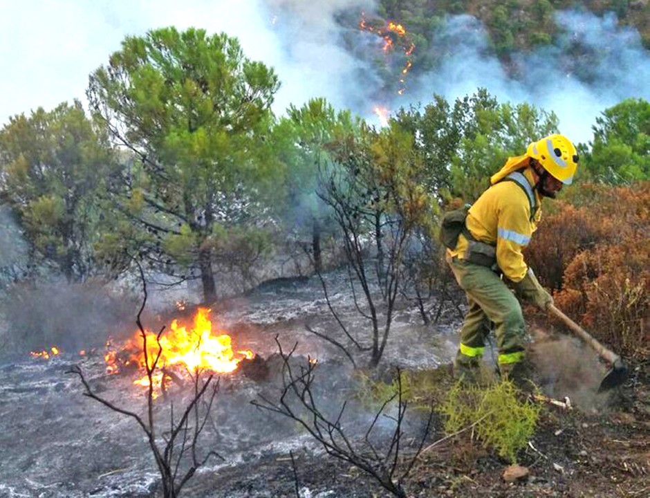 Junta highlights high-risk zones for summer fires | Costa News
