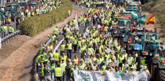 Farmers block Alicante motorway
