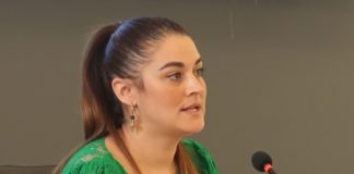 Regional plan to combat climate change