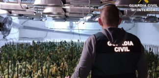 Marijuana on the menu