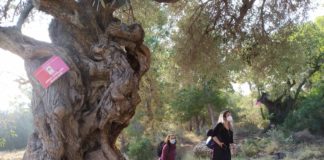 Trails to promote ‘active ageing’