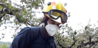 Fire brigade rescue service on alert