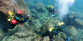 Divers strike gold off the Costa Blanca