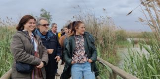 Plan to help ‘most threatened’ duck in Europe