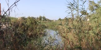 Call for action over river flood risk