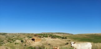 ‘Use the land to stop fires’, campaign