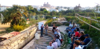 Talking about allotments
