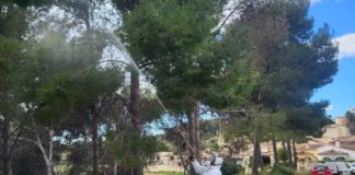 Tree treatments to cull caterpillars