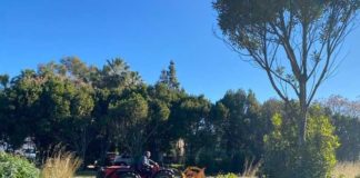 More urban allotments for Denia