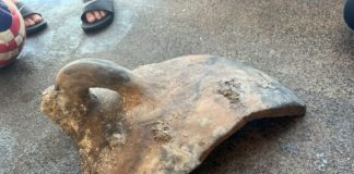 Divers find Roman remains during clean-up