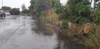 ‘Don’t leave water’ for mosquitoes