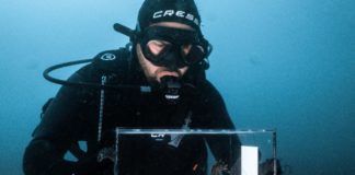 Thanks for the ride – seahorses returned