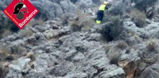 Dogs back home after mountain rescue