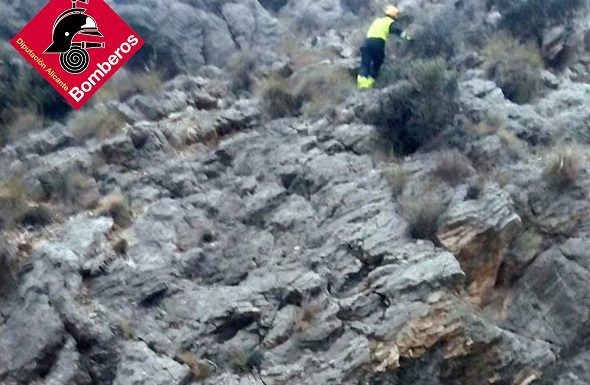 Dogs back home after mountain rescue