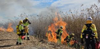 Fighting fire with fire