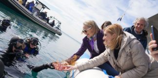 Returning life to the sea