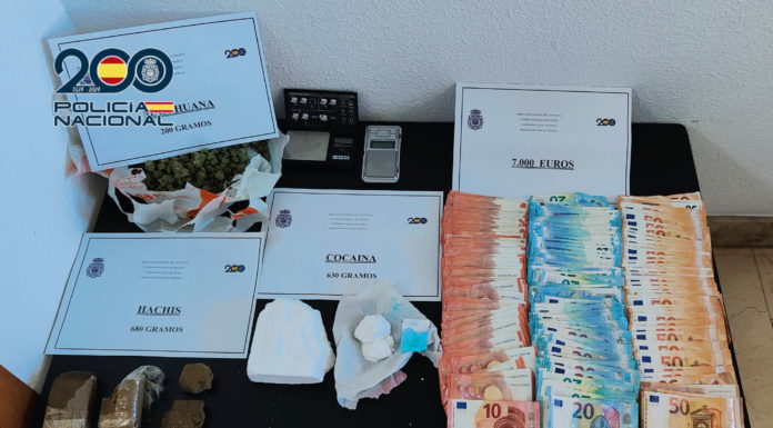 Sniffer dogs help shut down drug distribution operation