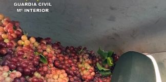 Car grape crush