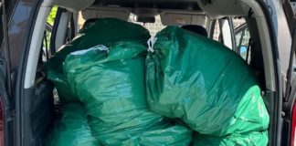 Car full of cannabis collared