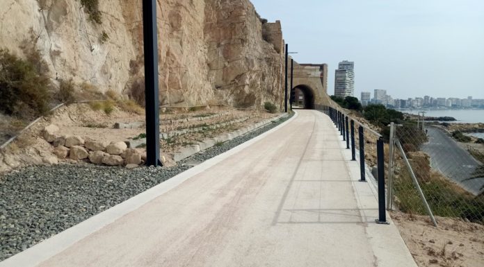 Greenway for old coast railway route