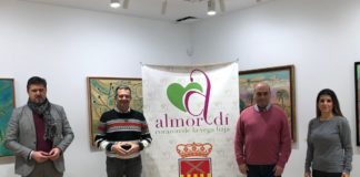 Town to set up solar power community