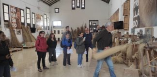 Hailing hemp