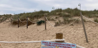 Permission for bars at ‘plover’ beach