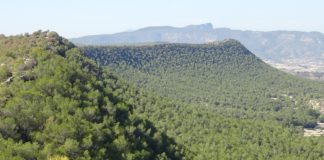 Objections registered over Escalona campsite plan