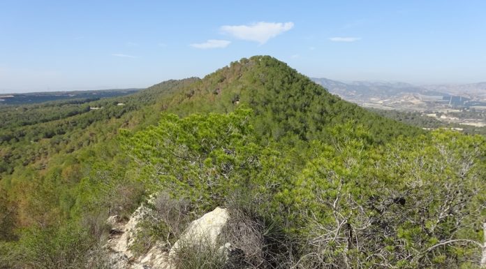 Progress on park declaration