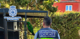 Police track down parrot thief