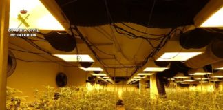 Villa’s underbuild marijuana farm discovered