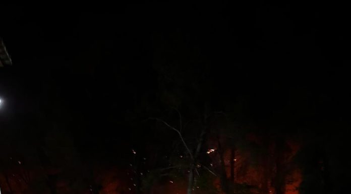 Residents evacuated in Jávea wildfire