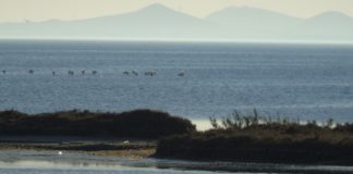 Millions to restore Mar Menor