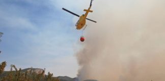 Homes evacuated over forest fire