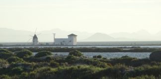 Tree plan to protect Mar Menor