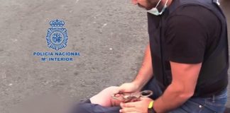 Pot in the post suspects detained