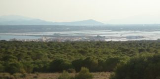 Small flare-up in Santa Pola