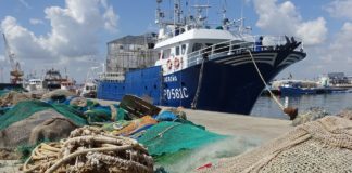 Santa Pola tops the fish list