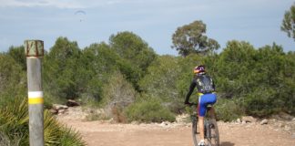 Local hunting ban bid