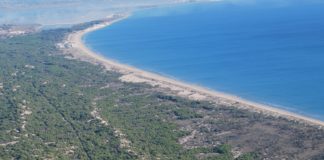 Fight to save coast protection plan