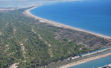 Concern for the coast