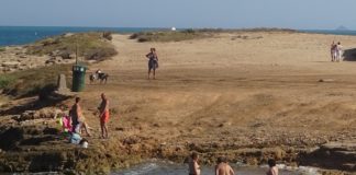 Rumpus continues over dog beach