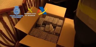 Erectile dysfunction drug smuggling ring smashed