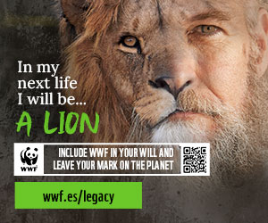 508144 WWF España Tigre