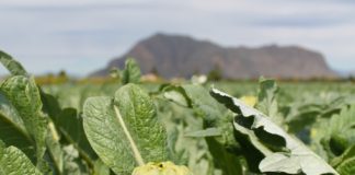 Farmers fight against climate change