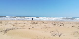 Beach proposal over face masks
