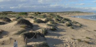 Thumbs up for coast protection initiative